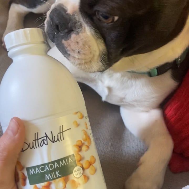 photo of ButtaNutt Macadamia Milk Original shared by @tazzl16 on  06 Apr 2023 - review