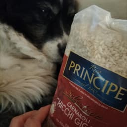 Riso Principe