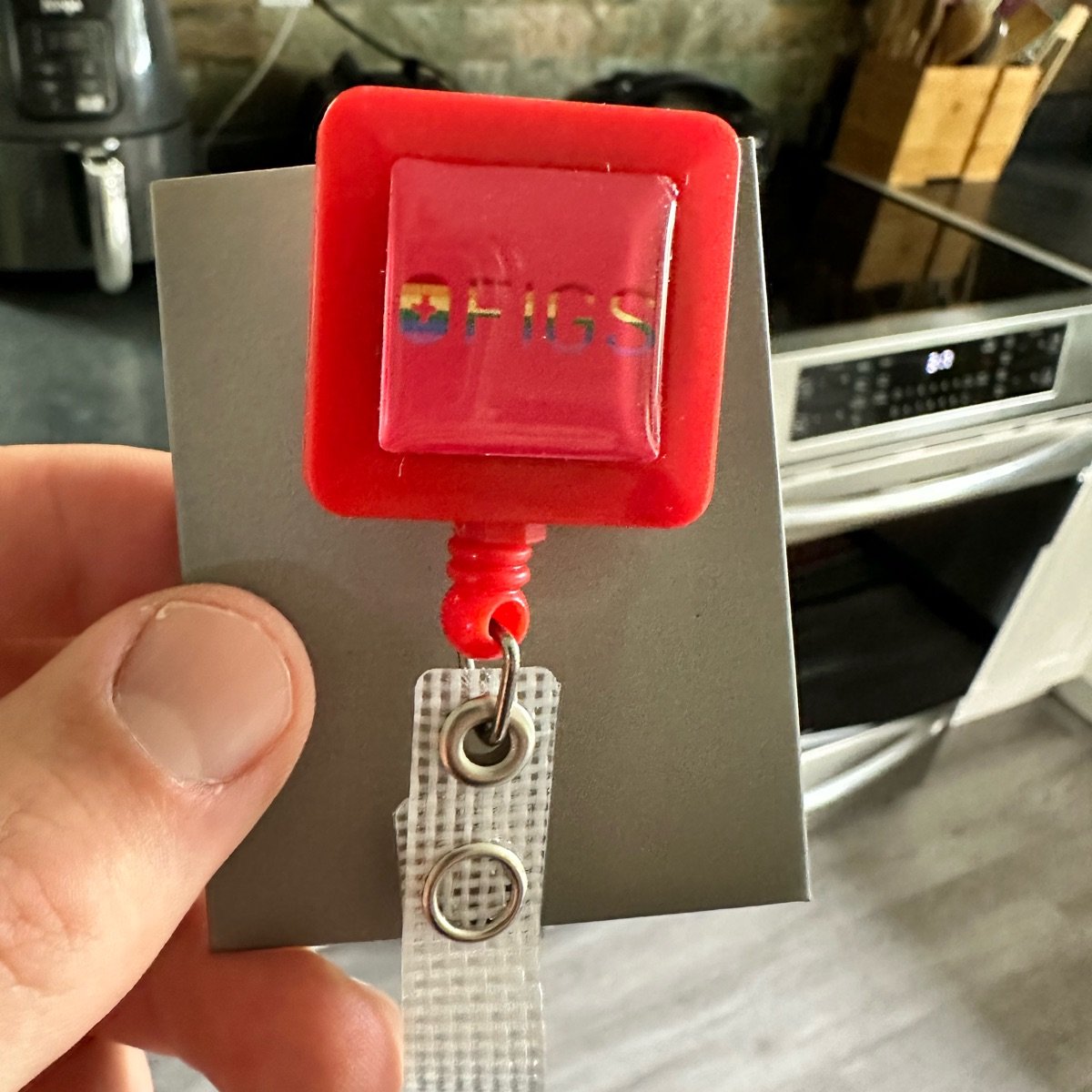 Figs Rainbow Logo Badge Reel Reviews abillion