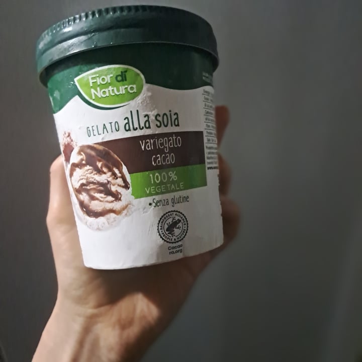 photo of Fior di Natura gelato alla soia variegato al cacao shared by @acilegna on  30 Dec 2022 - review