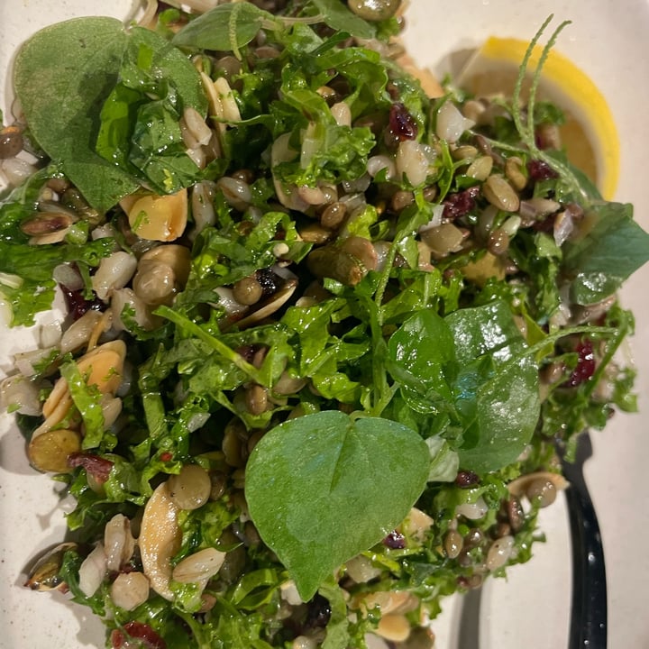 photo of Revolver International Airport Greens and Grains (minus yoghurt) shared by @lisaloveslife on  24 Jul 2023 - review
