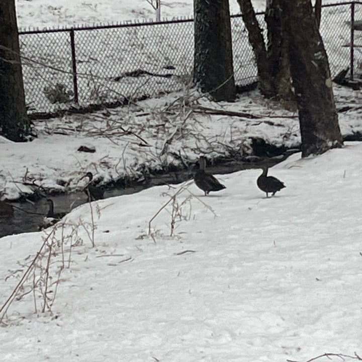 photo shared by @juliachavy on  21 Mar 2023 - post