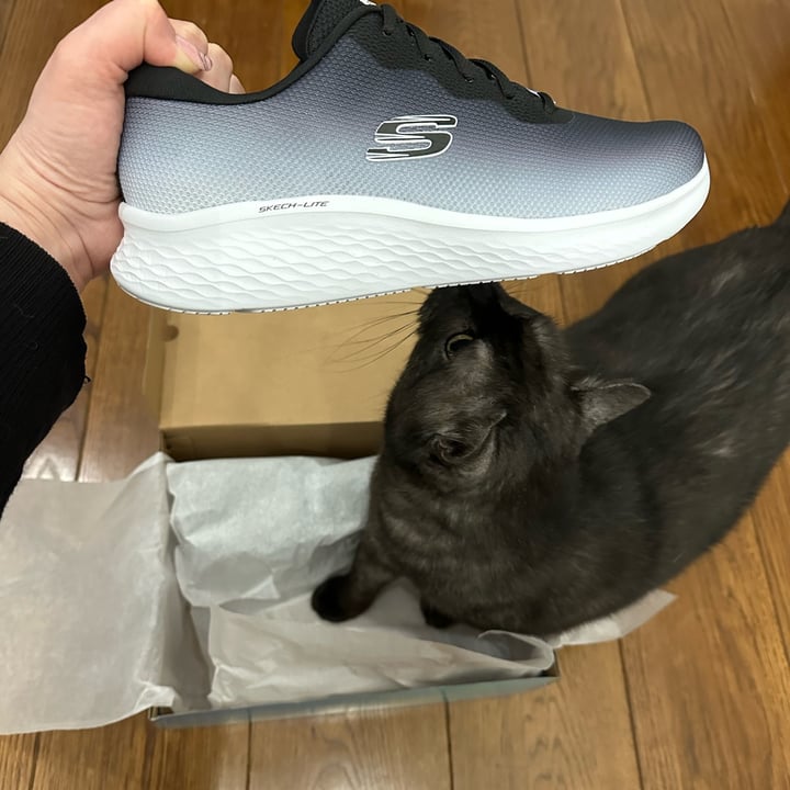 photo of Skechers Air Cooled Memory Foam Fade Out shared by @obsidianren on  18 Apr 2023 - review