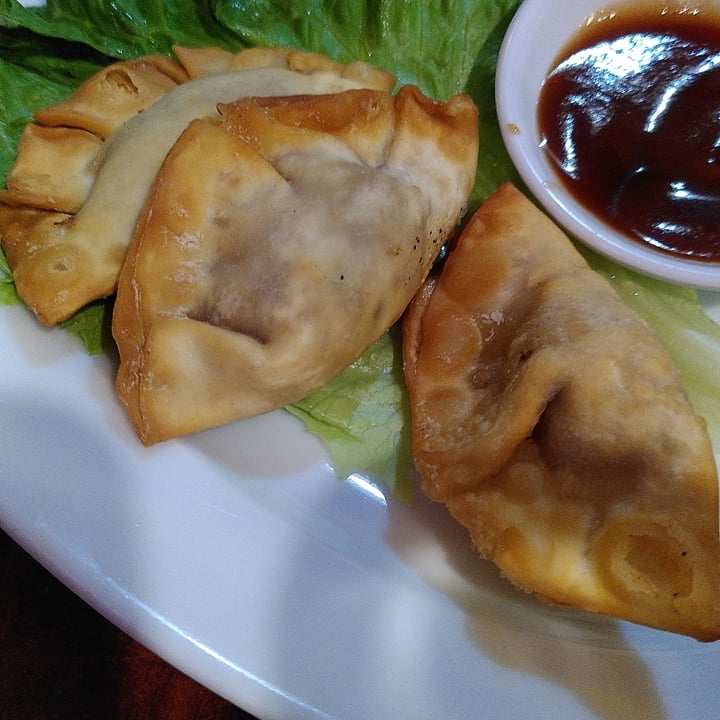 photo of Bodhi Vegan wonton frit shared by @beem on  09 Feb 2023 - review
