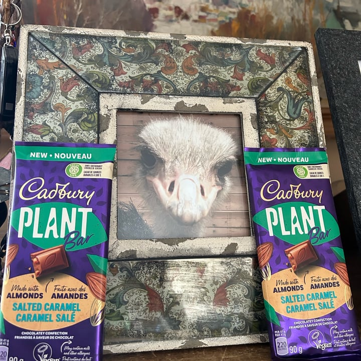 photo of Cadbury Vegan CADBURY PLANT BAR MADE WITH ALMONDS AND SALTED CARAMEL shared by @maryanarch on  20 Apr 2023 - review