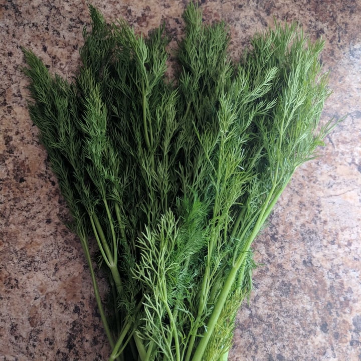 photo of Dill Dill shared by @oolaf-13 on  03 Feb 2023 - review