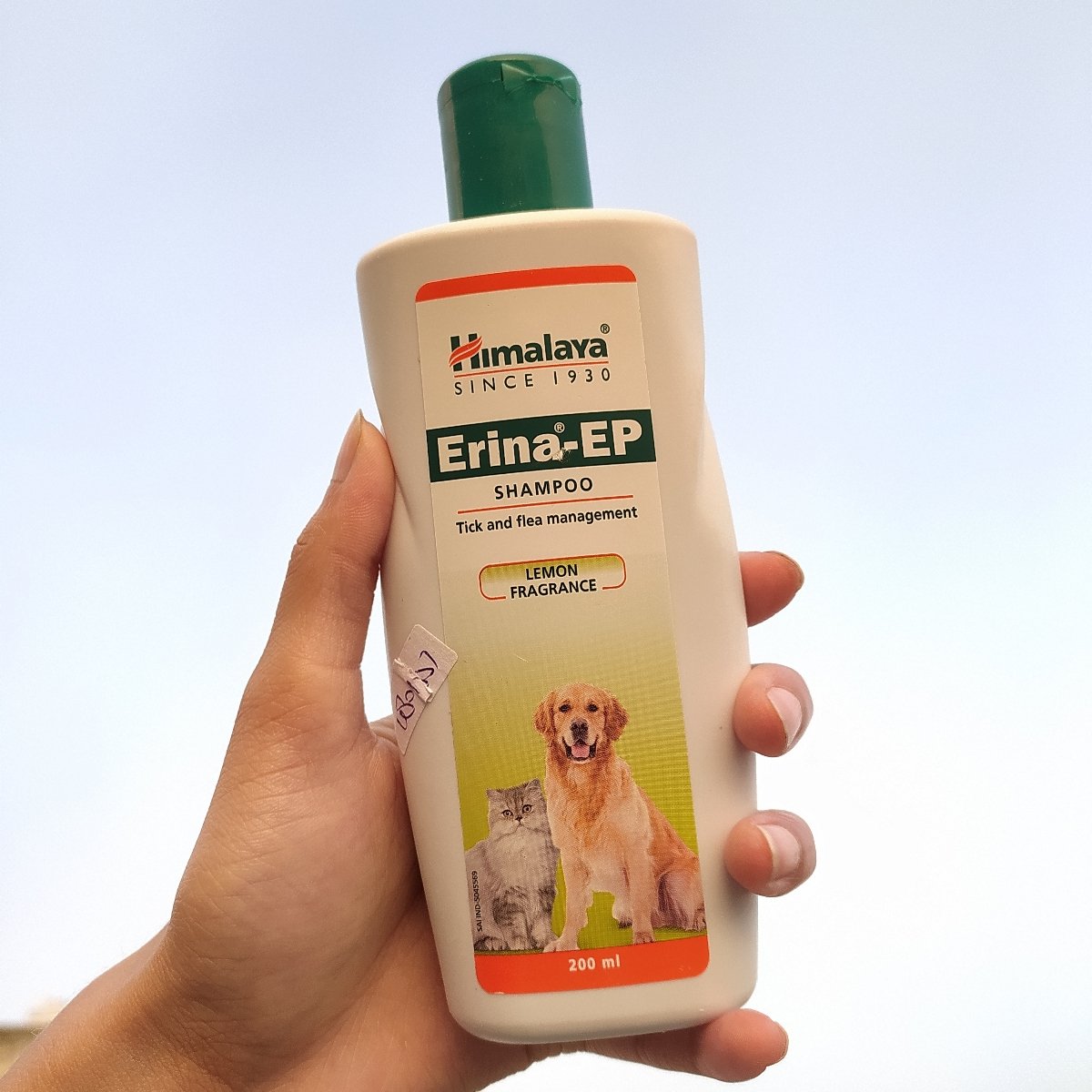 Erina shampoo hot sale