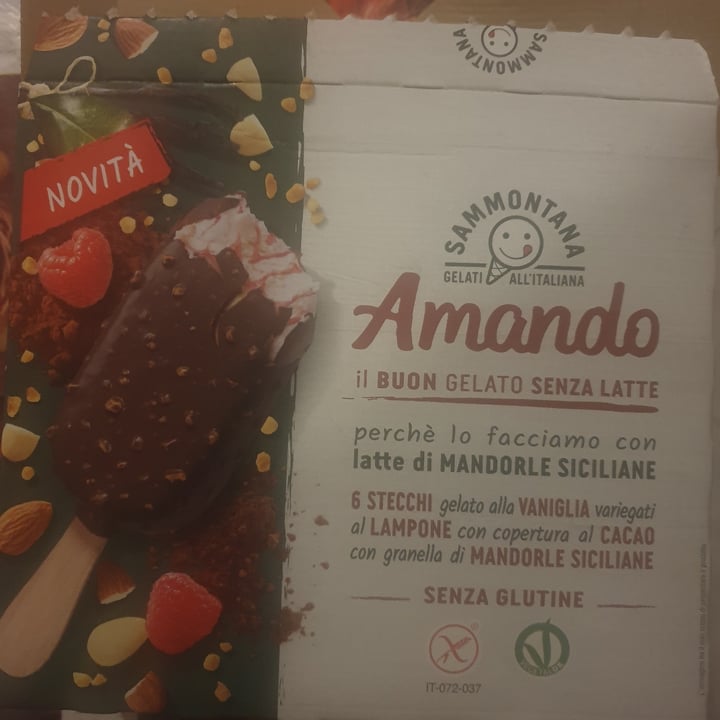 photo of Amando stecco con gelato alla vaniglia variegato al lampone con copertura al cacao con granella di mandorle siciliane shared by @lidiaveg on  11 Jun 2023 - review