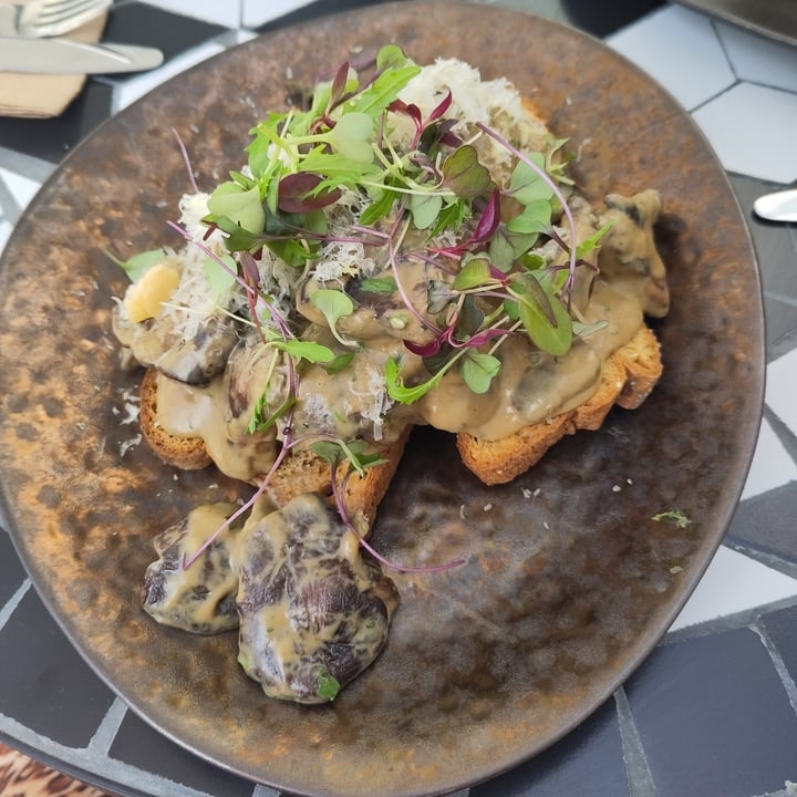 photo of The Sustainable Kitchen | Bingham Pan Seared Wild Mushrooms On Toast shared by @dashvegan on  21 May 2023 - review