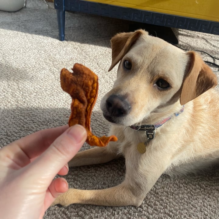 photo of Carrot bacon Applewood Plant-Based Jerkey shared by @knorthway on  08 Feb 2023 - review