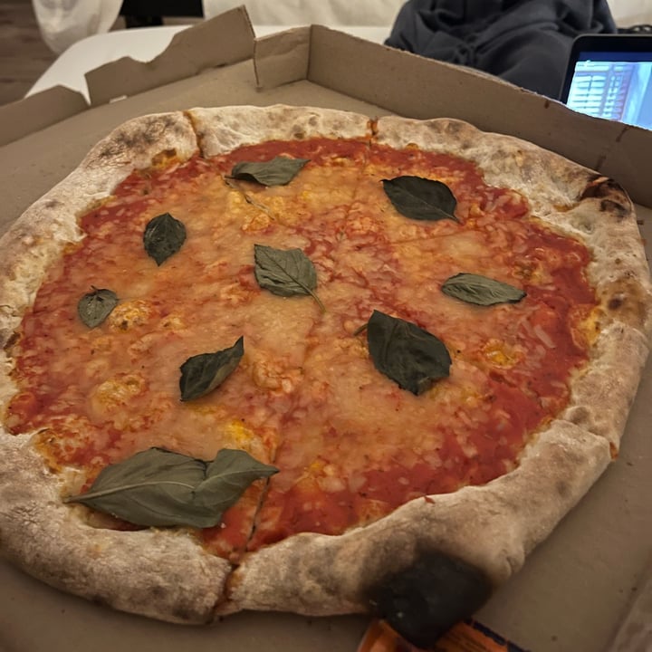 photo of Finisterre Bacalar Pizza Margarita Vegana shared by @anagnk on  28 Dec 2022 - review