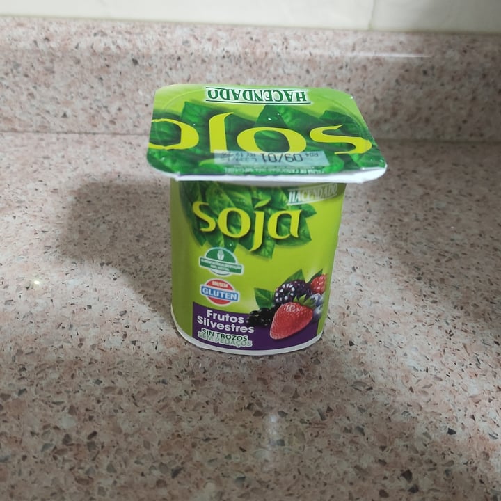photo of Hacendado Yogur de soja frutos rojos shared by @galizaenpe on  03 Jan 2023 - review