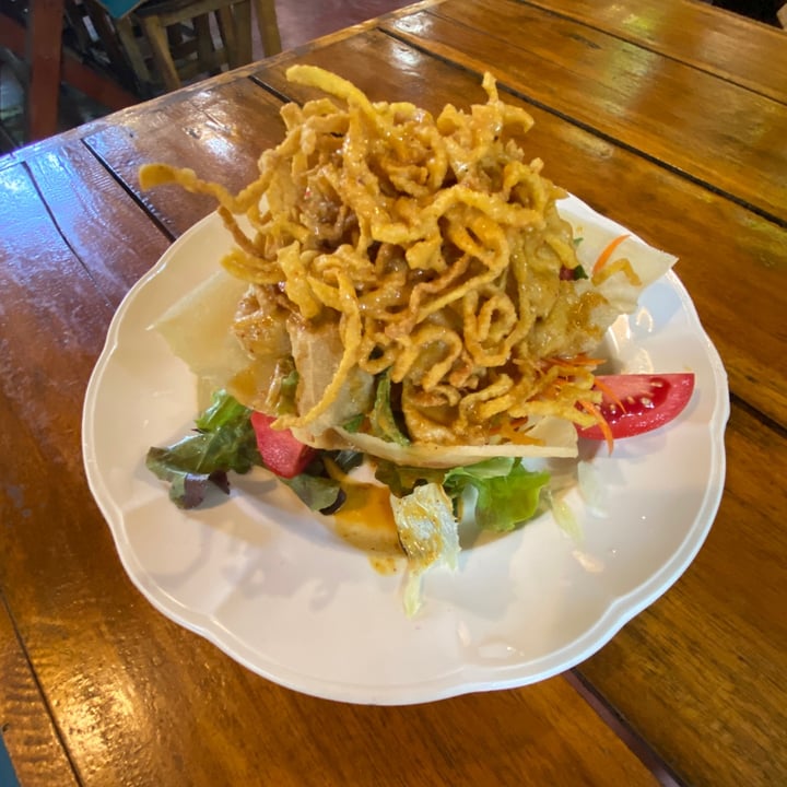 photo of Om Garden Cafe Khao Soi Salad shared by @dommo on  21 Mar 2023 - review