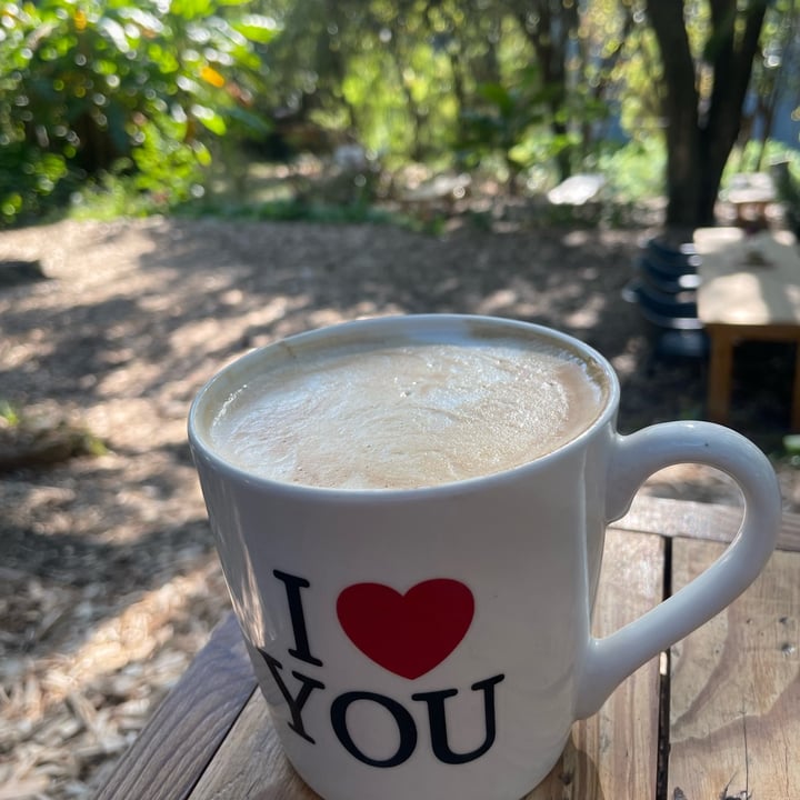 photo of Magoebaskloof Farmstall & Cafe Oat Milk Cappuccino shared by @sarahjeggle on  20 Jun 2023 - review