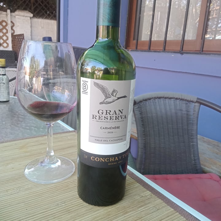 photo of Concha y Toro Gran Reserva Carmenere 2020 shared by @javimayorga on  04 Apr 2023 - review