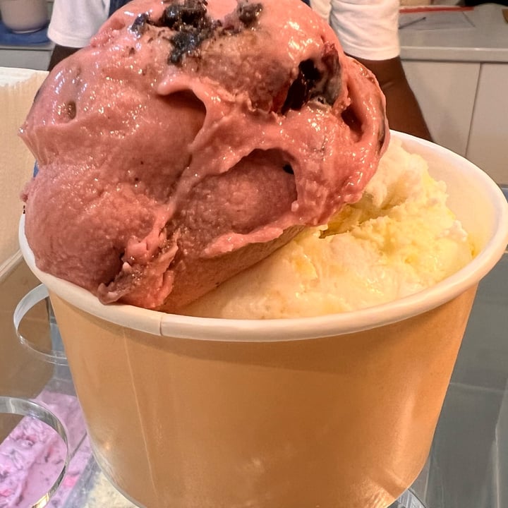 photo of Kristen's Kick-Ass Ice Cream Newlands Black Forest Ice Cream shared by @platosrose on  03 Feb 2023 - review