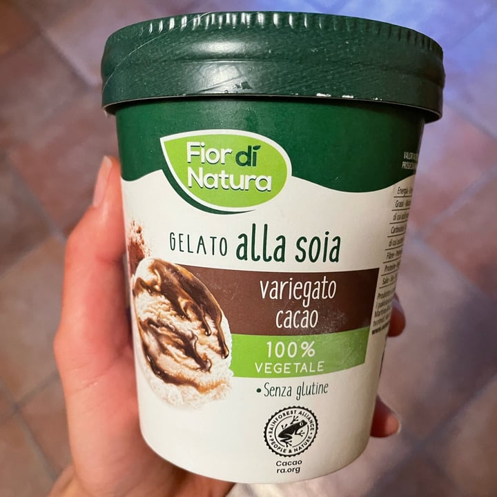 photo of Fior di Natura gelato alla soia variegato al cacao shared by @elevandi on  14 Apr 2023 - review