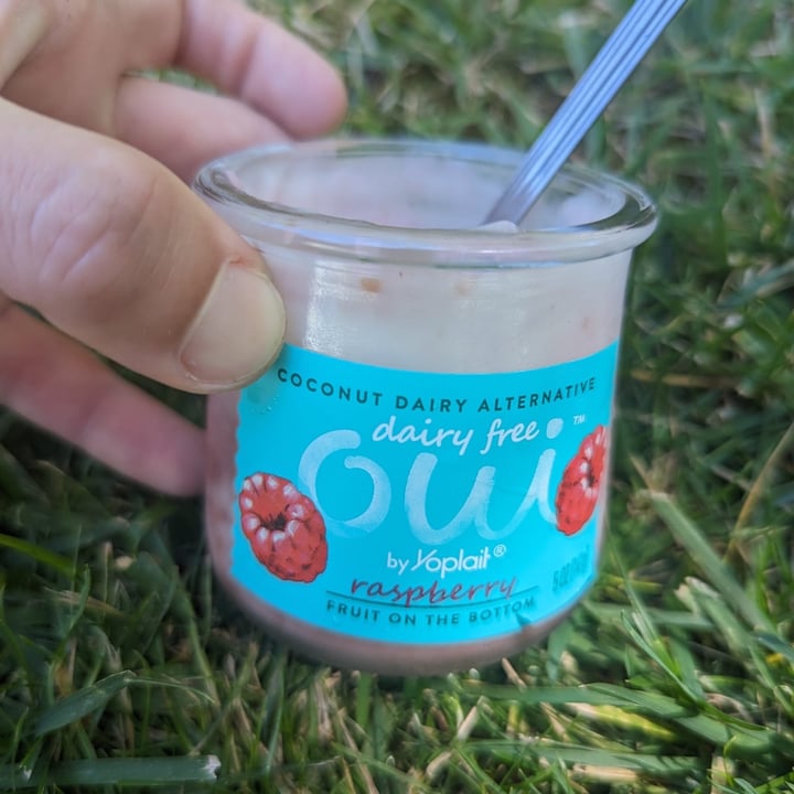 photo of Yoplait Dairy Free Oui Raspberry shared by @rochi09 on  16 Jul 2023 - review