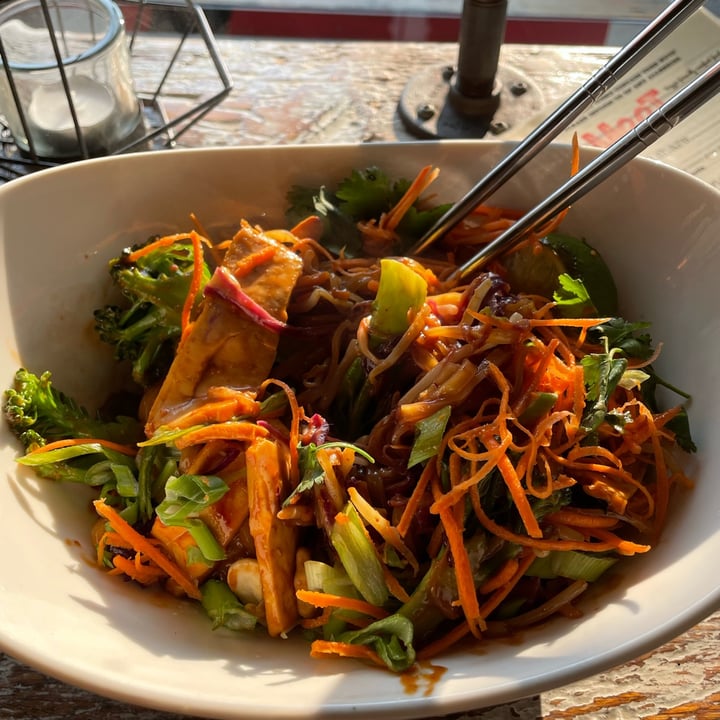 photo of MeeT on Main Noodle-Y Thai shared by @subtleties on  23 May 2023 - review