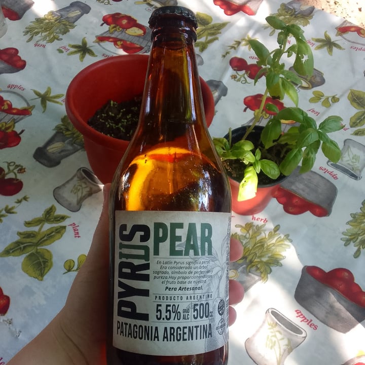 photo of Pyrus Pyrus Pear shared by @fiorellabisio on  31 Dec 2022 - review