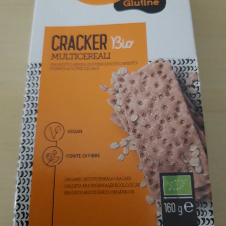 photo of Fio di loto Cracker Multicereali shared by @ldf on  22 Apr 2023 - review