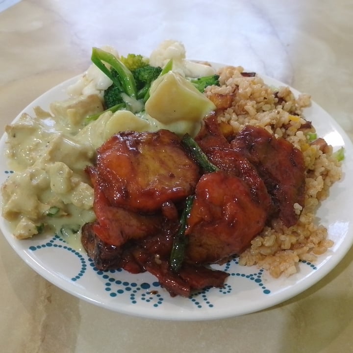 photo of Chai Vegetarian Cuisine Lunch Special with Brown Fried Rice shared by @veganadam on  13 Jun 2023 - review