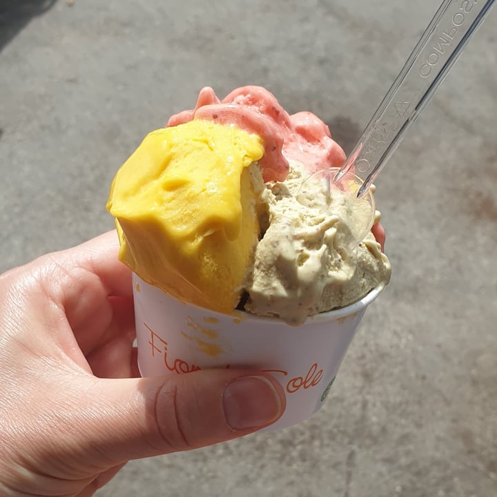 photo of Gelateria Fior di Sole Pistacchio, Mango And Strawberry Ice Cream shared by @lucyveg83 on  11 Jun 2023 - review
