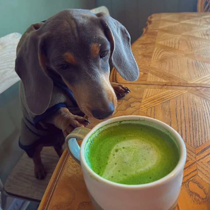 photo of The Tinker's Granddaughter Matcha Latte shared by @georgiescoles on  30 Apr 2023 - review