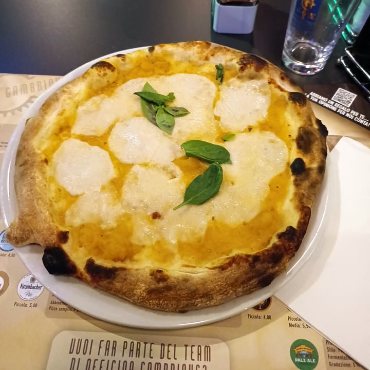 photo of Officina Gambrinus Margherita girasole con mozzarella vegana shared by @ilabonvy on  12 Mar 2023 - review