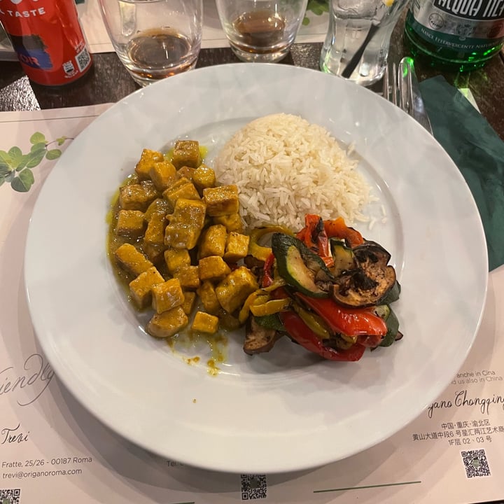 photo of Origano Trevi “Pollo” vegano al Curry shared by @giorgina on  02 Mar 2023 - review