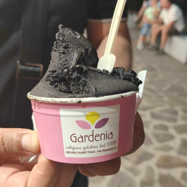 photo of Gelateria Gardenia Black Hawaii ice-cream shared by @aldoveg on  30 Jun 2023 - review