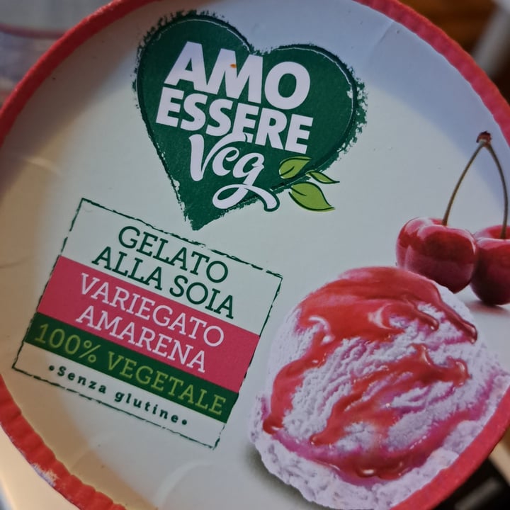 photo of Amo Essere Veg gelato alla soia variegato amarena shared by @manuella7 on  18 Jul 2023 - review