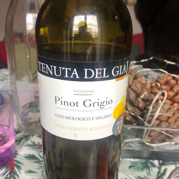 photo of Tenuta del Giaj Pinot Grigio shared by @123ale on  08 Feb 2023 - review