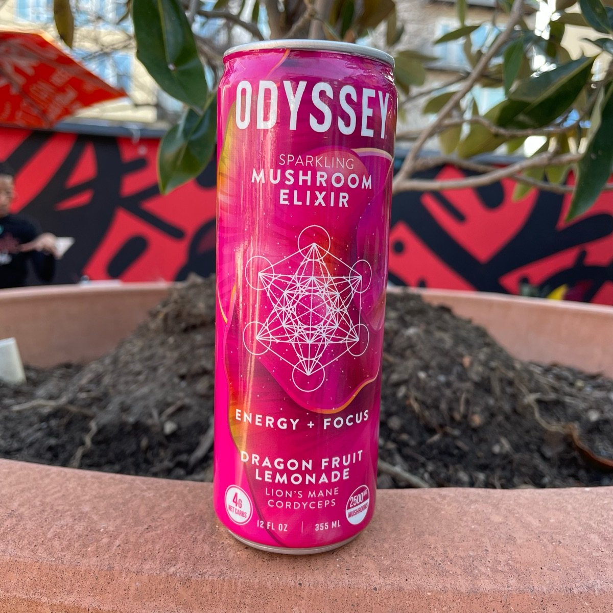 Odyssey Mushroom Elixir Energy + Focus Reviews abillion