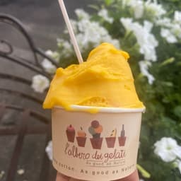 L'albero dei gelati