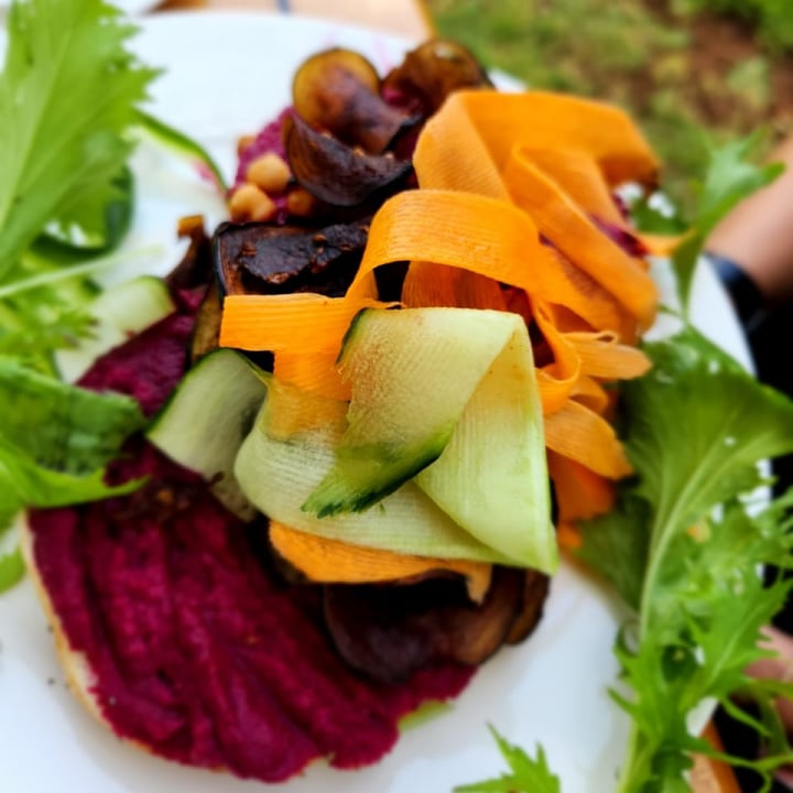 photo of The Shed & Silo spiced beetroot hummus rocket brinjal chips and roasted chickpea bagel shared by @leeanneg on  08 Jan 2023 - review