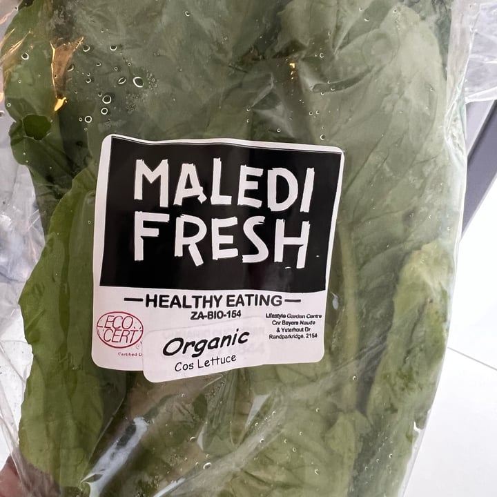 photo of Maledi Fresh Organic Cos Lettuce shared by @bianca1701 on  08 Feb 2023 - review