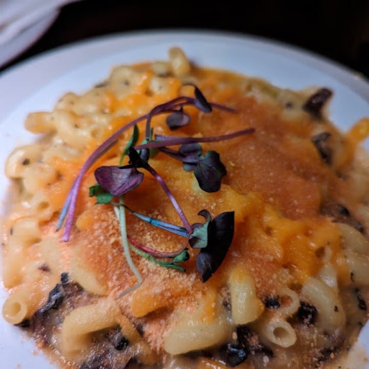 photo of Vegoist mac and cheese shared by @avocadoskillet on  08 May 2023 - review