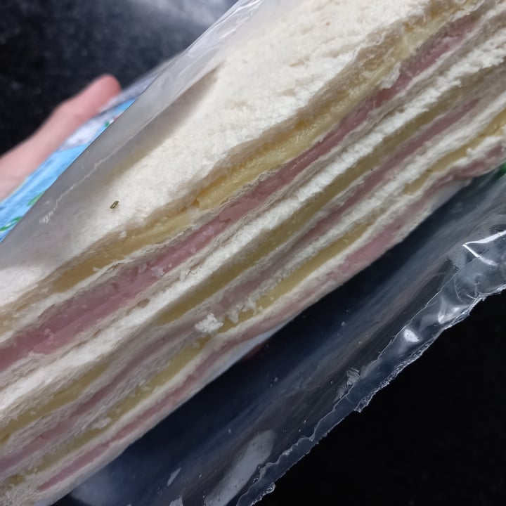 photo of Apto Vegano Consciente Sandwich de miga jamon y queso azul shared by @vanimomoko on  04 Jan 2023 - review