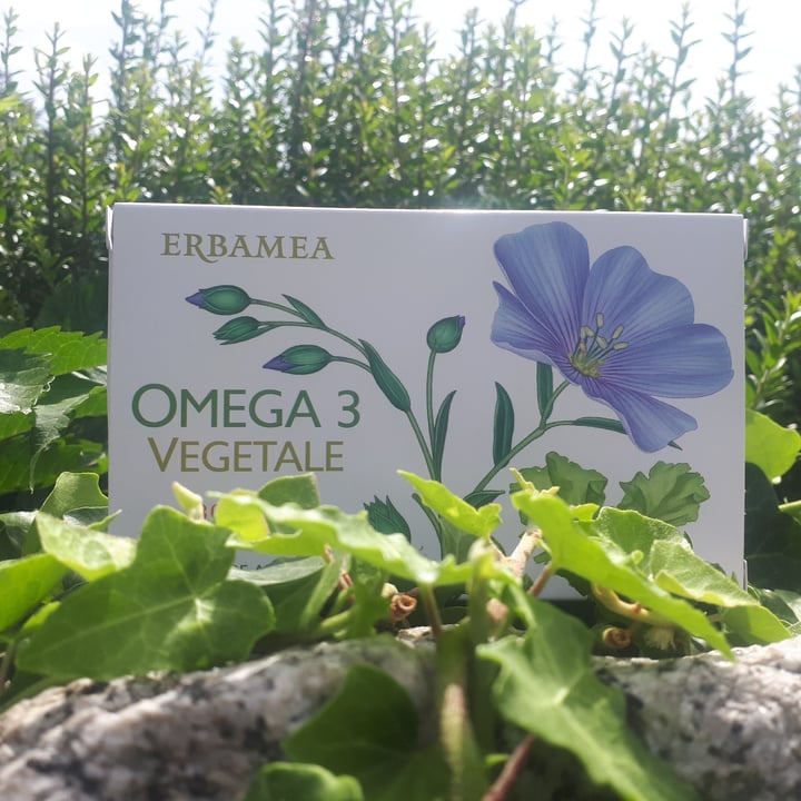 photo of Erbamea Omega 3 shared by @nanaspooky on  22 Jun 2023 - review