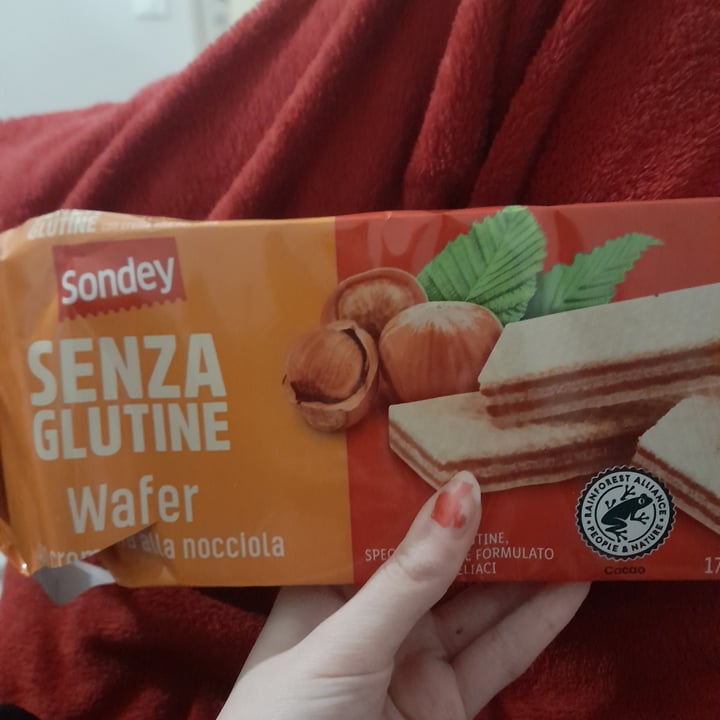 photo of Sondey Wafer Senza Glutine Con Crema Alla Nocciola shared by @yeonjunwi on  27 Dec 2022 - review