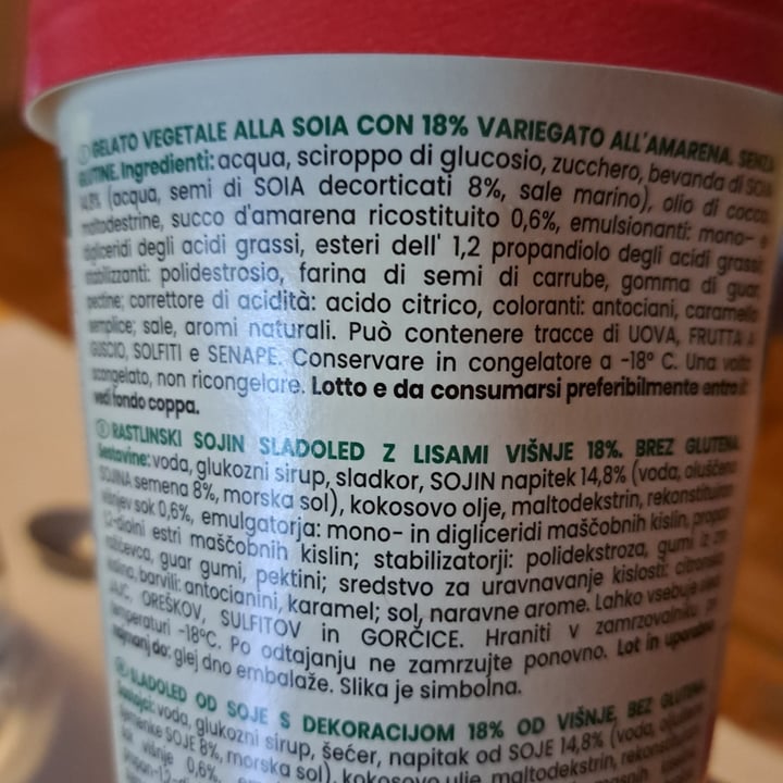 photo of Amo Essere Veg gelato alla soia variegato amarena shared by @manuella7 on  18 Jul 2023 - review