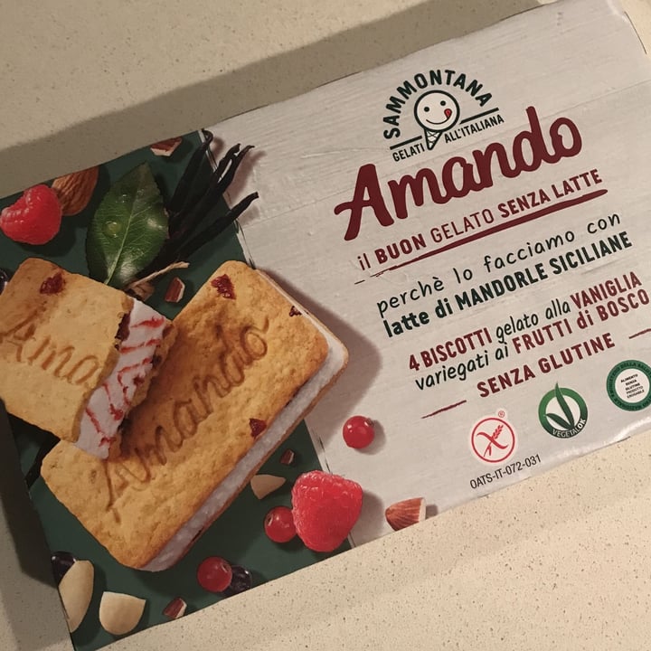 photo of Sammontana Amando biscotti gelato alla vaniglia variegato ai frutti di bosco shared by @saradiv on  21 Dec 2022 - review