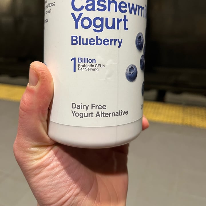 photo of Forager Project organic probiotic cashewmilk yogurt shared by @oshmorethstorm on  14 Feb 2023 - review