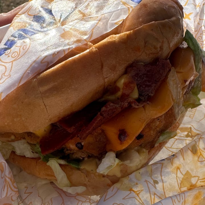 photo of THUNDER VEGAN FOOD Thunder Burger shared by @supersarita85 on  24 Feb 2023 - review