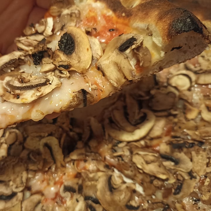 photo of Zeffie's Bistro & Pizzeria Pizza Funghi shared by @stephenmalta on  13 Feb 2023 - review