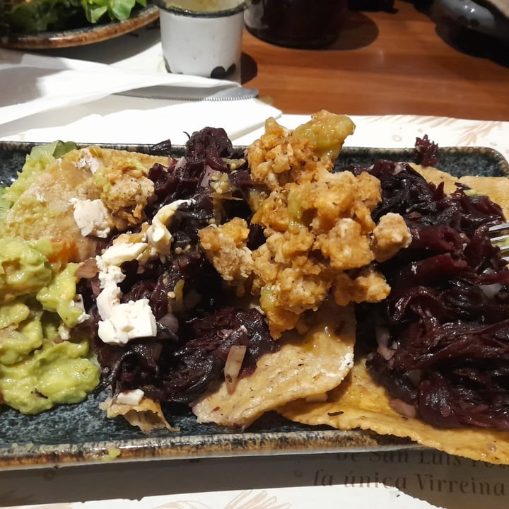 photo of La Posada del Virrey Restaurante tacos de jamaica y tofu shared by @gabrielalyl on  15 Feb 2023 - review