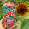PepsiCo