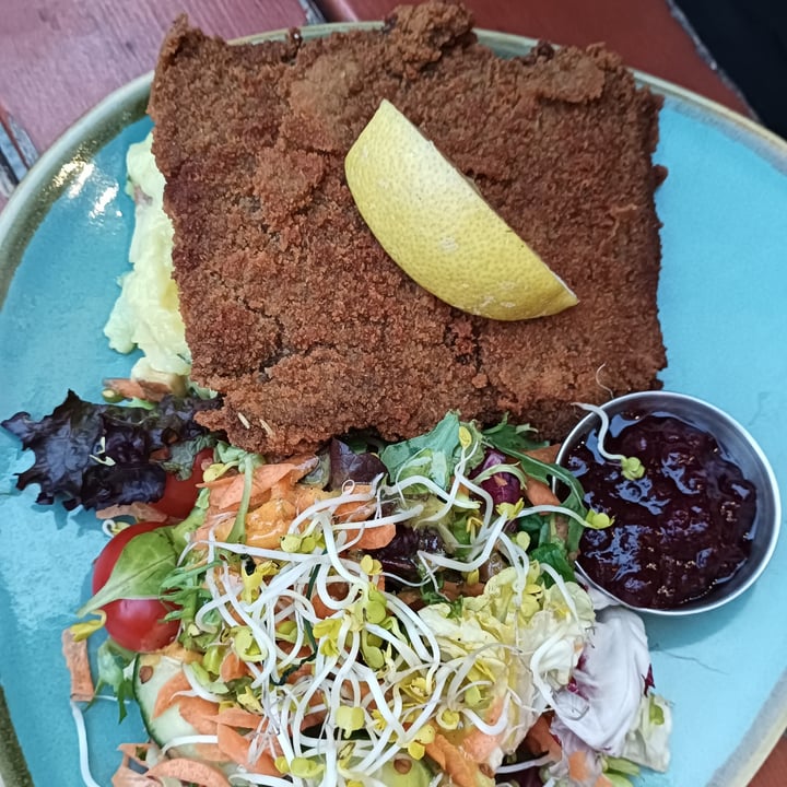 photo of bodhi - veganes restaurant & bar Schnitzel Viennese shared by @albetty on  16 Jun 2023 - review