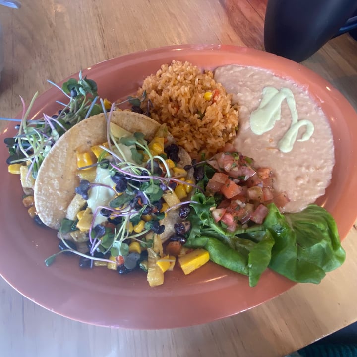 photo of Great Full Gardens Roasted Veggie Tacos shared by @sninkelletti on  18 Mar 2023 - review
